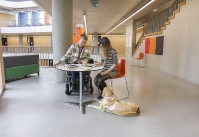Two people sitting at a table in a modern office environment, with a service dog resting on the floor nearby.