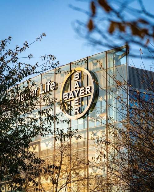 Bayer’s offices in Reading, glass facade with the Bayer cross, framed by autumn trees