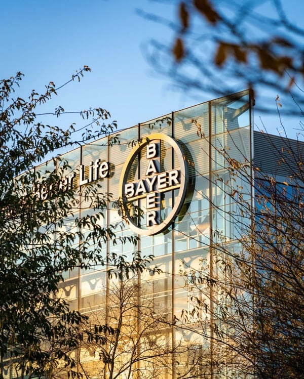 Bayer’s offices in Reading, glass facade with the Bayer cross, framed by autumn trees